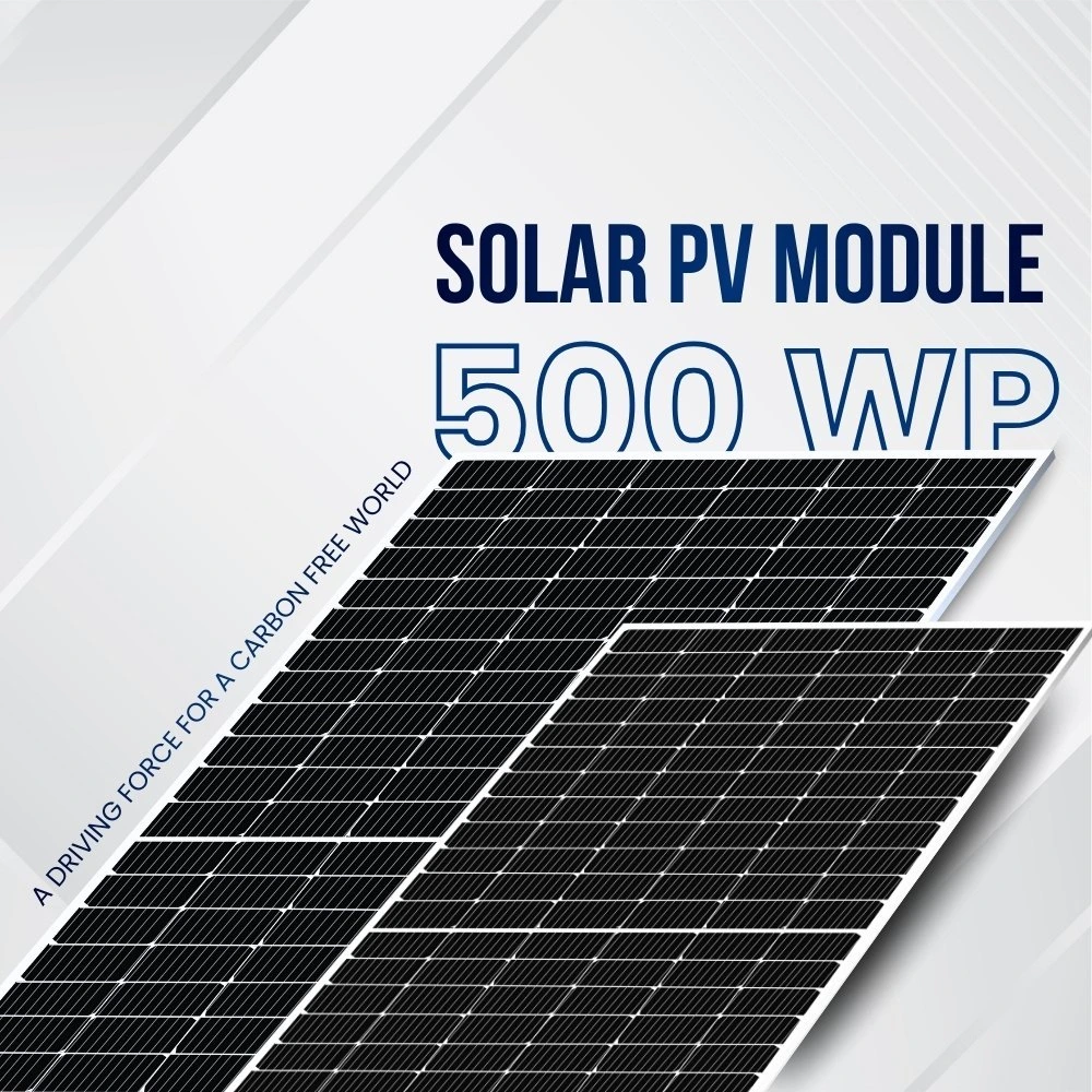 500-wp-1.webp